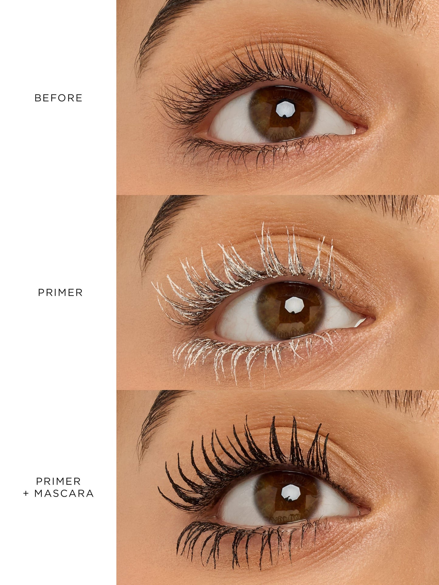 lash cocktail